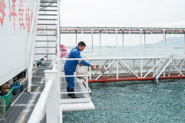 在登上“格盛1号”之前，叶悦和已经养了近30年鱼。