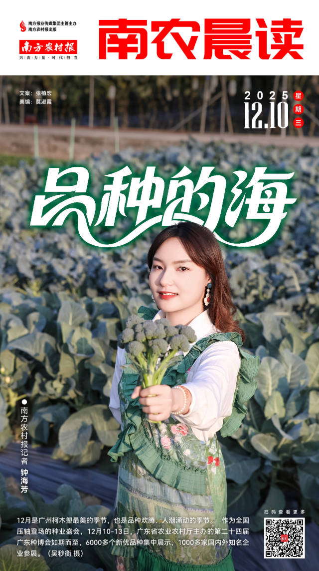 南方农村报 巢芮 制图