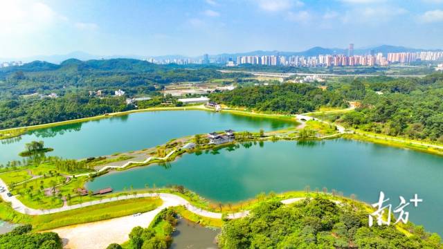 迳野漾彩（迳下乡村旅游景区）。