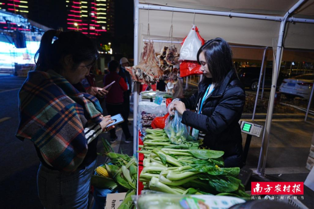 市民现场购买连州菜心。