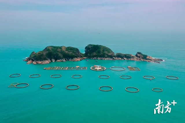 惠州某海洋牧场项目航拍图