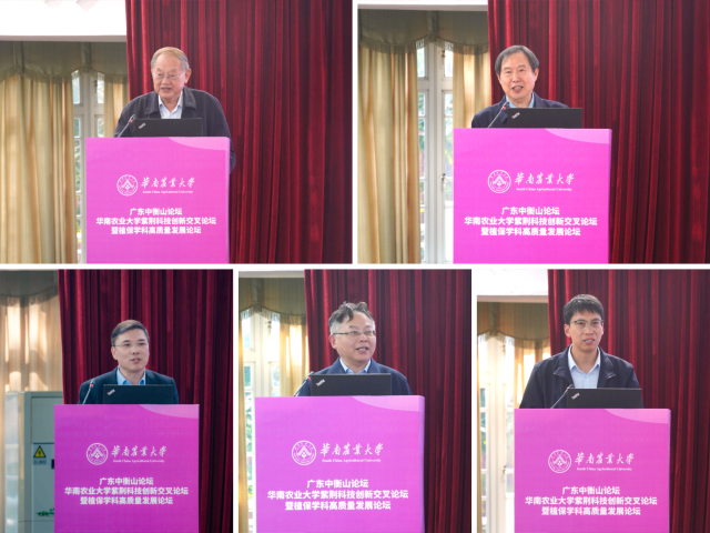 大咖云集 大咖云集