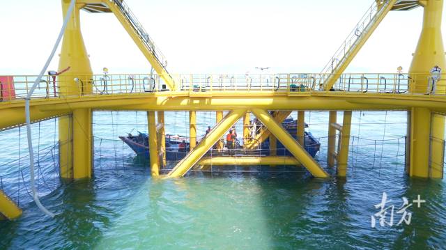 汕头“盛唐一号”采用模块化建造工艺,设计可抵御16级超强台风。受访者供图