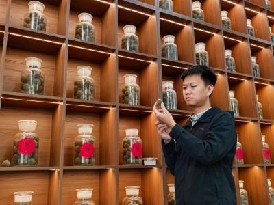 十年深耕化橘红，他为产业振兴寻一把“金钥匙”｜奋斗故事