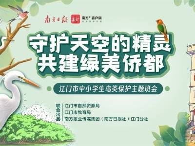 守护天空精灵！江门鸟类保护主题班会网课来了