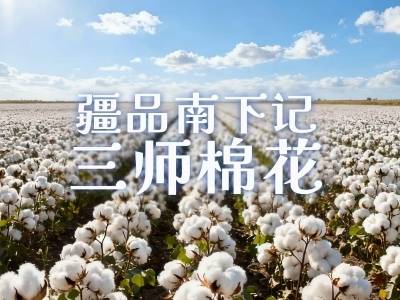 视频 | 疆品南下记：三师棉花