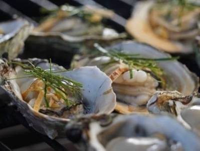 三百年传承，汕尾城区“蚝”门名片