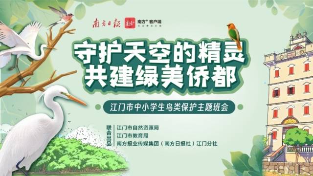 争做护鸟小卫士！江门这堂鸟类保护主题班会网课约定你