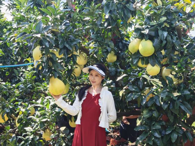 农文旅融合促进乡村振兴