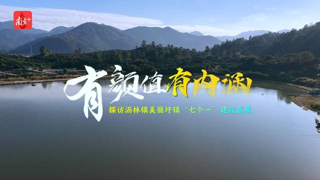 视频｜仲恺高新区这个美丽圩镇，已经进入Next Level