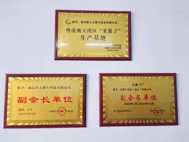 大肥牛集团展示获得的荣誉牌匾 大肥牛集团展示获得的荣誉牌匾