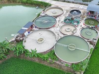 南方日报丨阳春：“议”出乡村善治新路径