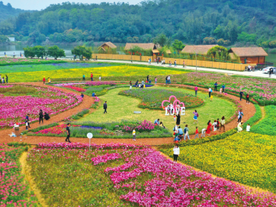 广州第八次获评“最具幸福感城市”！解码千年商都的幸福秘诀