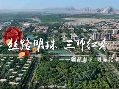 视频｜丝路明珠，三师红枣