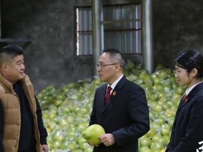 助力民营经济发展，看梅州法院“护企指南”