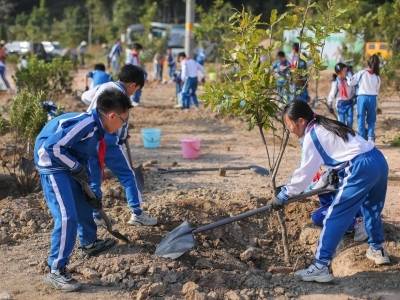 广东开展义务植树活动超7万场，吸引超522万人次参与