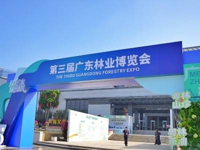 广东正在下一盘“绿色大棋”，梅州是关键落子