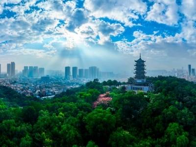 桂城引力：万亿城市中心文旅“超级接口”如何炼成