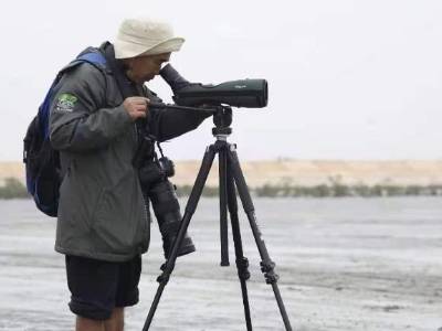 守护红树林三十余载，他看见了什么？｜奋斗故事