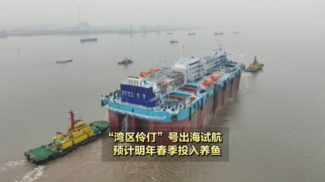 “湾区伶仃”号出海试航，预计明年春季投入养鱼｜南方+视频