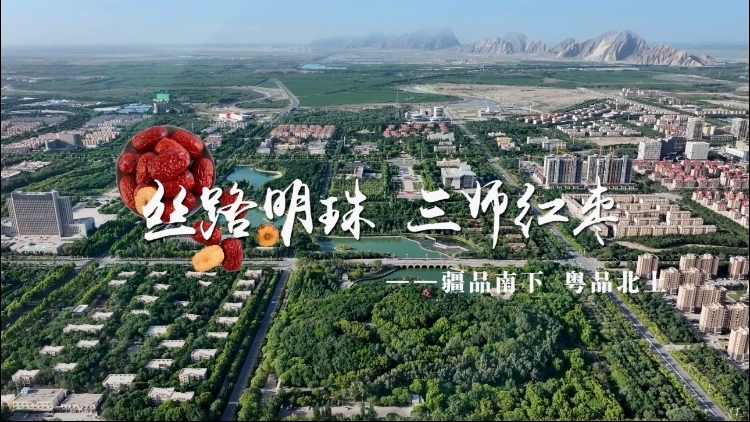 视频｜丝路明珠，三师红枣