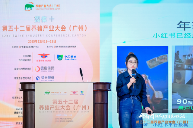 小红书商业化经理凝光