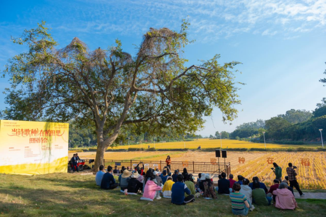 “当诗歌种在稻田里”田园诗会在南朗街道举行。