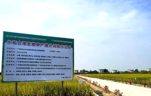 新建村水稻密植示范区、