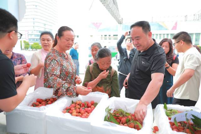 今年6月，2025年粤黔协作助农促消费产销对接活动在黔西南州兴义市启幕。广东惠州荔枝得到当地市民追捧，被抢购一空。