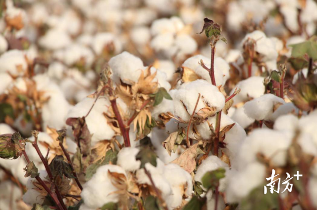 图源网络 图源网络