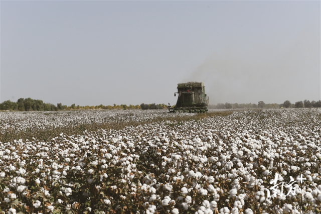 图源三师融媒 图源三师融媒