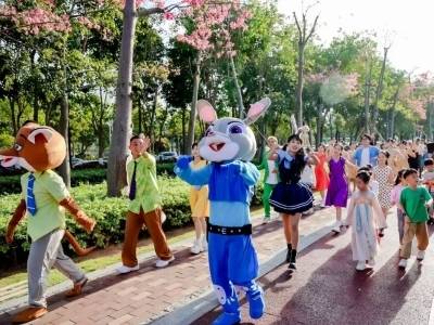 万人赏横琴花景！人气值拉满