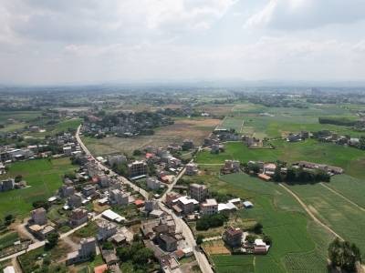 五大重点领域牵引，博罗特色产业升级跑出“科技”加速度