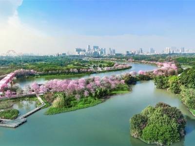 从街巷到江岸，一首人居焕新的“共生曲”｜海珠上新记②