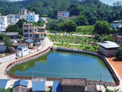 美学赋能振兴，封开绘就“形神兼备、富美并重”新图景