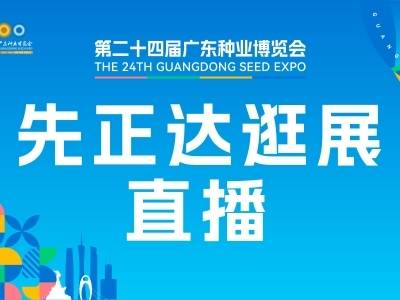 先味之旅——寻找不一样