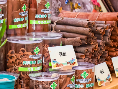 大湾区农交会来肇庆展馆，品南药食养，尝柑橘清甜