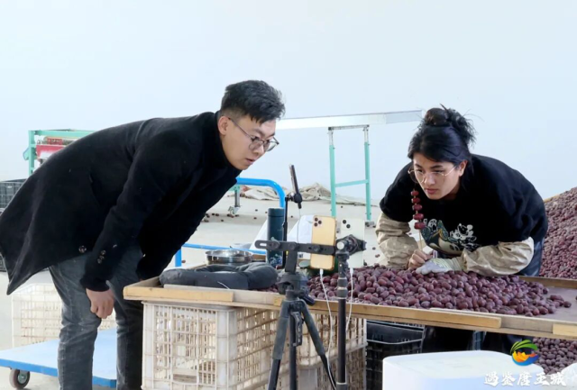 图片来源第三师融媒体中心