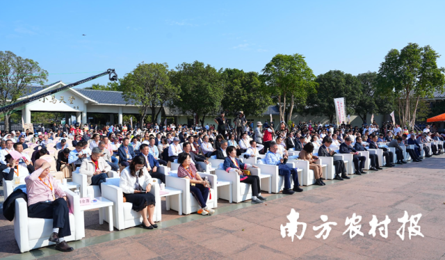 第七届新会陈皮文化节在小鸟天堂巴金广场启幕。