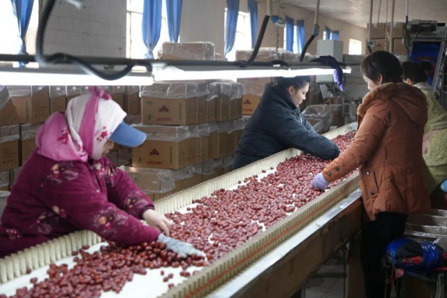 陈冀、侯圳屿 摄