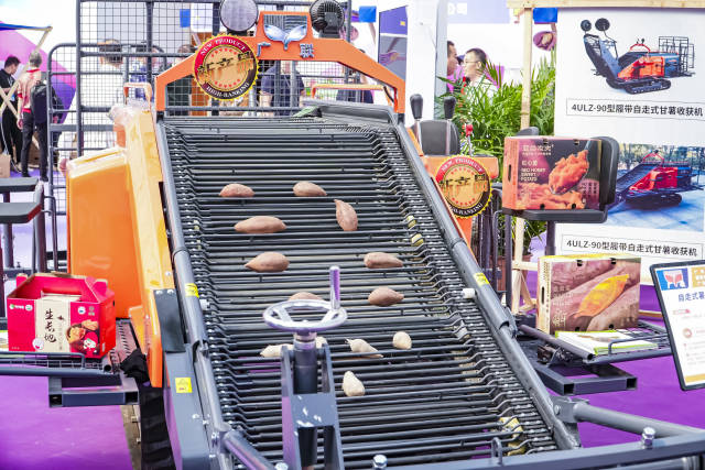 广东省现代农业装备研究院的自走式薯类联合收获机实现甘薯分级。 