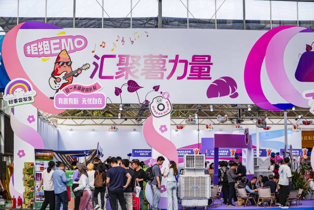 做好“土特产”大文章，让广东薯成“黄金薯”“幸福薯”