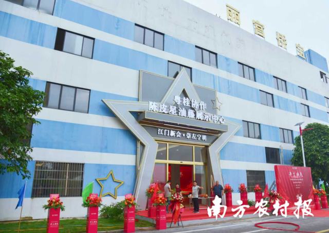 粤桂协作陈皮星油藤展示中心。 粤桂协作陈皮星油藤展示中心。