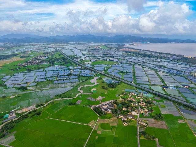 大沟镇水产养殖面积达2.1万亩