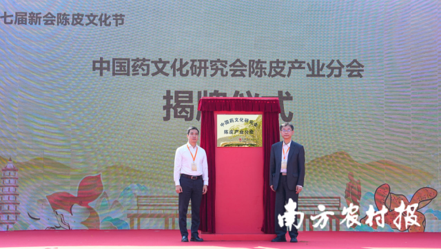 中国药文化研究会陈皮产业分会揭牌。