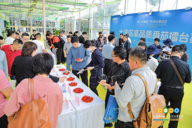 大会同期举办大湾区高品质番茄擂台赛。