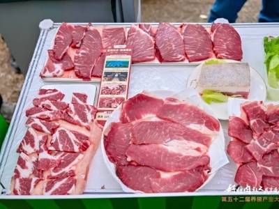 香飘羊城！2025粤港澳大湾区优质猪肉品鉴会启幕