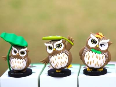 触摸自然，玩转湾区！2025粤港澳自然教育论坛解锁生态新体验