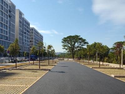 典型培育村平南村：从“有颜值”向“有内涵”转变