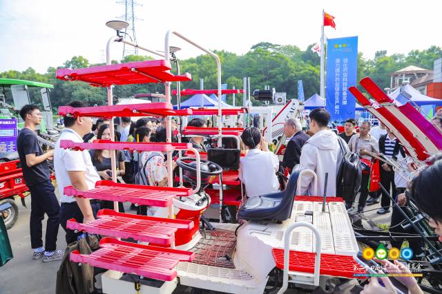 南方农村报 赵飘飘 拍摄